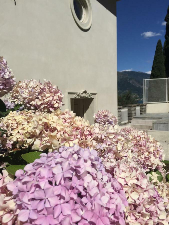 Maison Blanche Dervio Kültér fotó